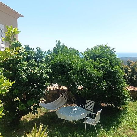 Appartement A Caserella Entierement Renove Avec Terrasse Et Vue Panoramique Sur Mer Valle-di-Campoloro Exterior photo