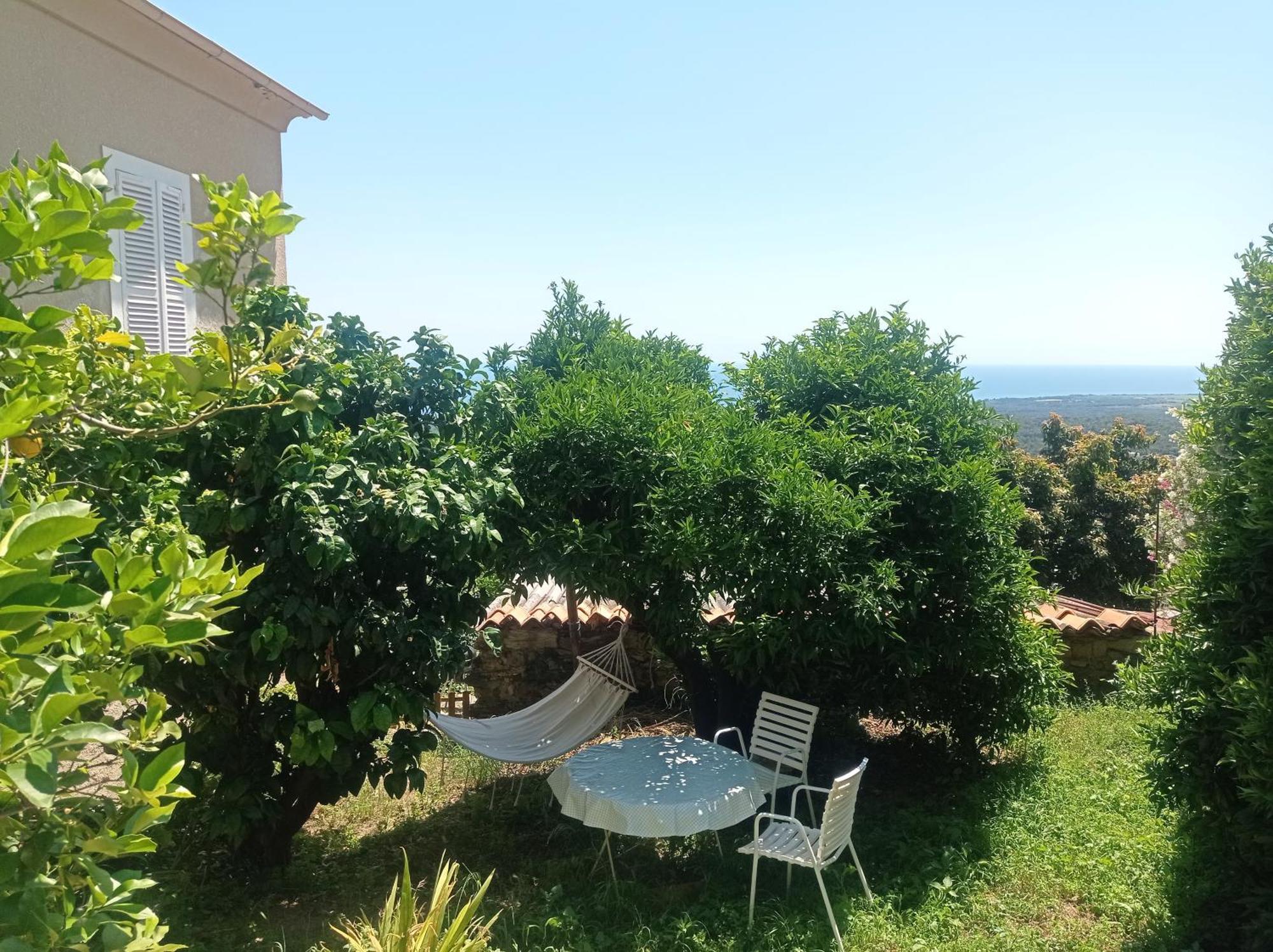 Appartement A Caserella Entierement Renove Avec Terrasse Et Vue Panoramique Sur Mer Valle-di-Campoloro Exterior photo